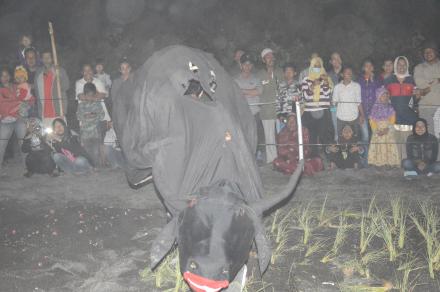 GELAR BUDAYA MAHESA SURA MENYONGSONG TAHUN BARU JAWA